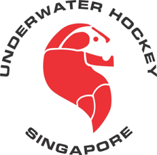 Image result for Stirling University Underwater Hockey Club