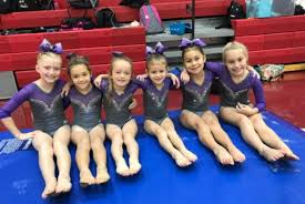 Image result for Elite Recreational Gymnastics Club