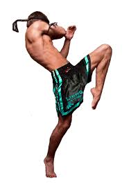 Image result for Jein Muay Thai