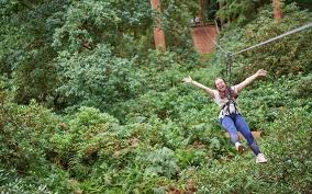 Image result for The Go Ape Experience (Swinley Forest)