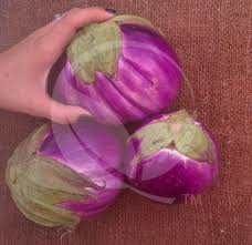 Afbeeldingsresultaat voor rosa bianca eggplant
