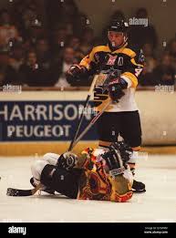 Image result for Basingstoke Bison Ice Hockey Club