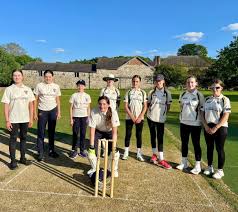 Image result for Pontblyddyn Cricket Club
