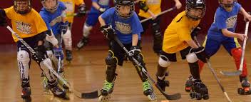 Image result for Glasgow Vipers Roller Hockey Club