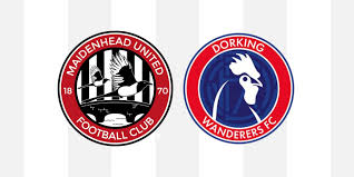 Image result for Dorking Wanderers F C