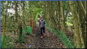 Image result for Tir Na Nog Gac