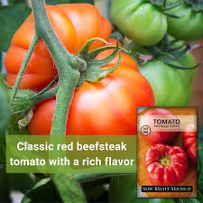 Afbeeldingsresultaat voor mortgage lifter bicolor strain tomato