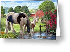 Image result for Hadlow Cricket Club