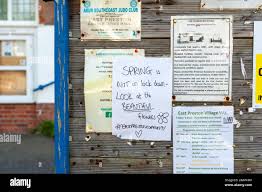 Image result for Arun Southcoast Judo Club.