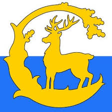 Image result for Reading CSSA Squash Club