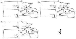 Attēlu rezultāti vaicājumam “Populus x petrowskyana”