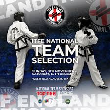 Image result for Bytomic Tae Kwon Do Watford