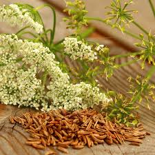 Image result for Kümmel