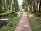 SN8587 : Boardwalk beside the - via Daymix