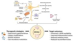 Image result for BCKA