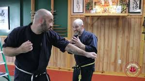 Image result for Ji Shin Do Karate