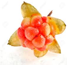 Attēlu rezultāti vaicājumam “Rubus chamaemorus fruit”