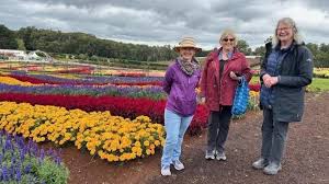 Image result for Belgrave Bowling Club