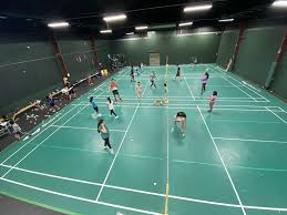Image result for Higman (Tv) Badminton Academy Badminton Club