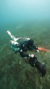 Image result for Maverick Divers