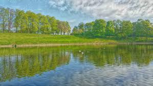 Image result for Ferranti Bowling Club