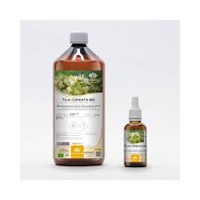 Attēlu rezultāti vaicājumam “Tilia cordata bud”