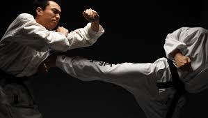 Image result for Vision Martial Arts