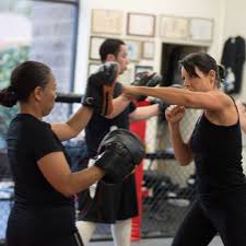 Image result for United Dojos Kickboxing
