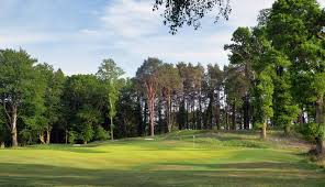 Image result for Brokenhurst Manor Golf Club