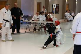 Image result for Roswell Martial Arts KA