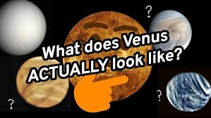Image result for venus