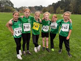 Image result for Bracknell Forest Runners