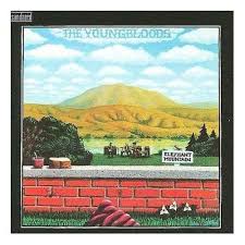 Attēlu rezultāti vaicājumam “Diderma montanum var. album young”