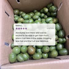 Attēlu rezultāti vaicājumam “Cirsium acaule fruit”