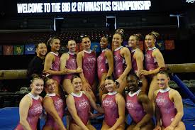Image result for Tessaro Gymnastics Club