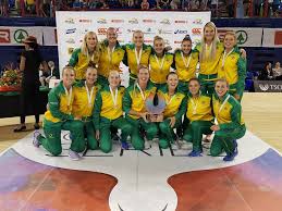 Image result for Weston super Mare Kingfishers Netball Club