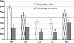 Attēlu rezultāti vaicājumam “Cardaminopsis arenosa fruit”