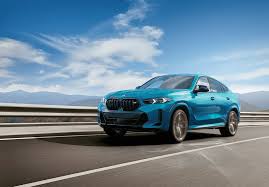 Image result for BMW X6