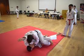 Image result for Red Dragon Taekwondo club