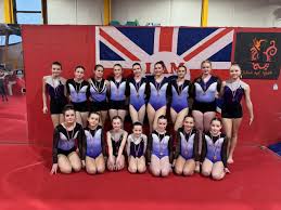 Image result for Bagshot Gymnastics Club