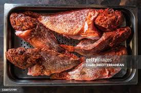 Image result for Scorpaena scrofa