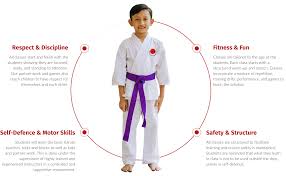Image result for Caversham Karate Club SSKA