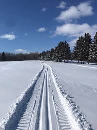 Image result for Lakeland Cross Country Ski Club