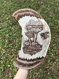 Attēlu rezultāti vaicājumam “Ganoderma applanatum”