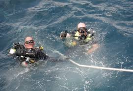 Image result for Dive Crew Scuba Diving