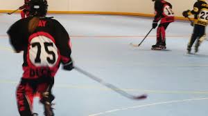 Image result for Dundee Ducks inline roller hockey club