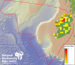 Attēlu rezultāti vaicājumam “Tritomaria exsectiformis”