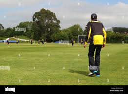 Image result for Taunton Vale Sports Club