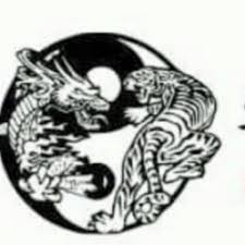Image result for Kicking Dragon Kung Fu School, Belfast