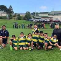 Image result for Wellington Rugby Football Club Limited